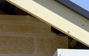 soffit repair Penguithal