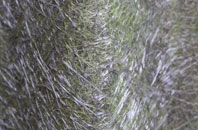 Penguithal fibreglass roof work